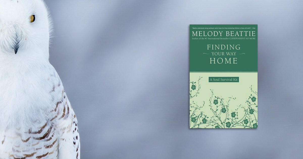 Cover of Finding Your Way Home by Melody Beattie beside a white owl.