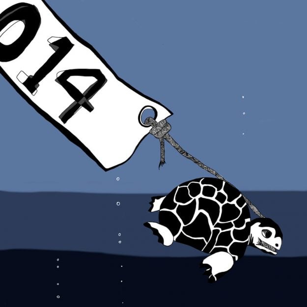 Turtle dives down into the ocean with 2014.